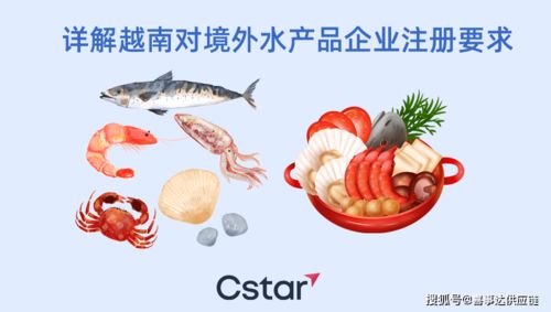 企業(yè)出口海鮮至越南的操作指南與注冊(cè)要求詳解