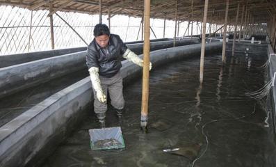 養(yǎng)殖場(chǎng)建在自家確權(quán)耕地上，算違章建筑嗎？（水產(chǎn)養(yǎng)殖篇）